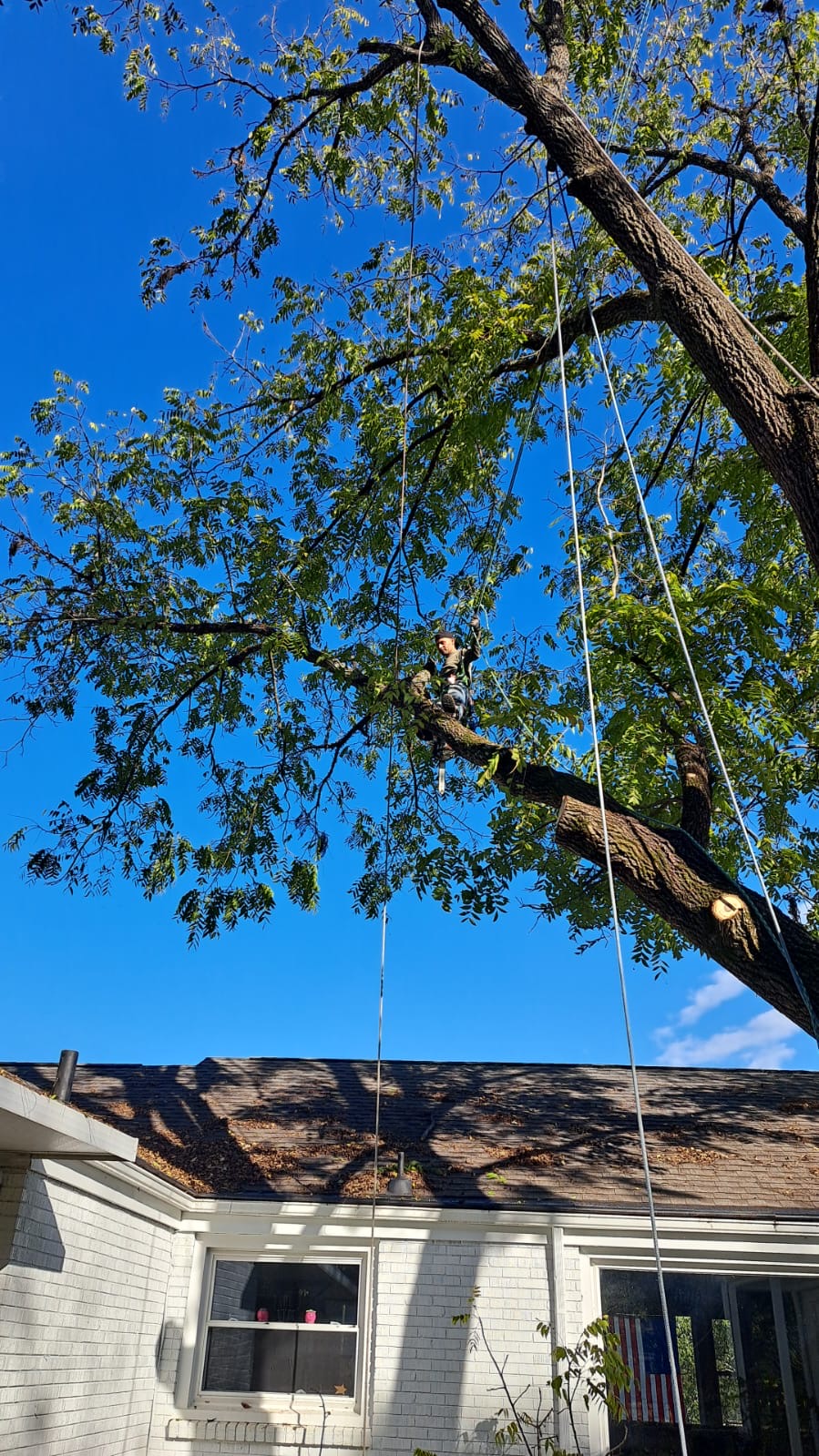 24/7 emergency tree removal service Nashville - storm damage response