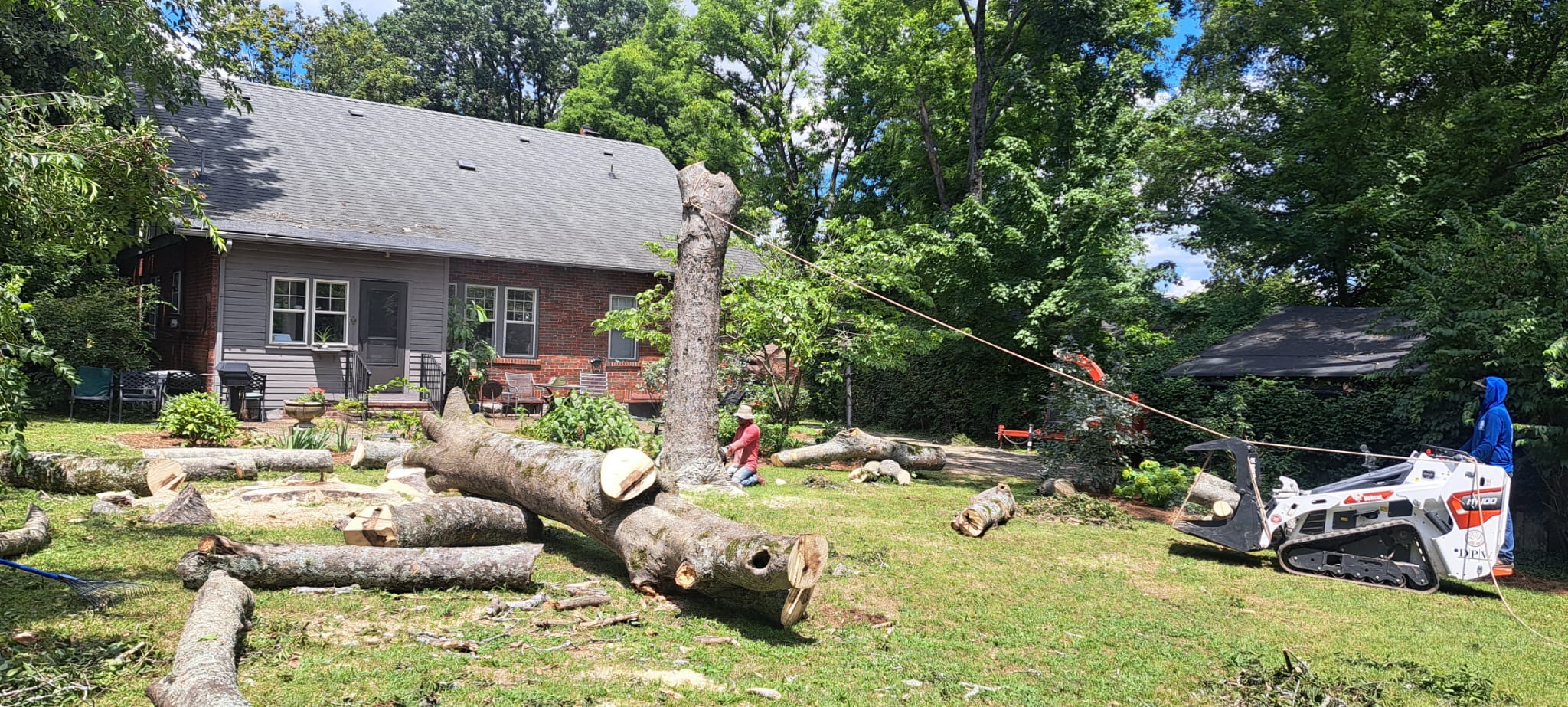 Professional tree removal service Nashville TN